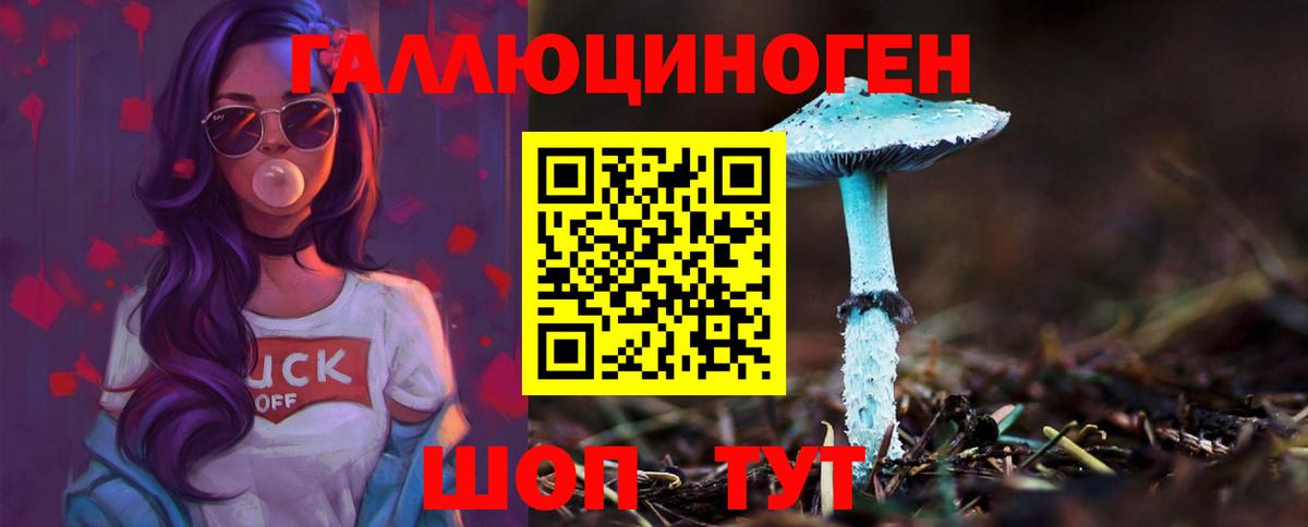 Галлюциногенные грибы Cubensis Краснознаменск