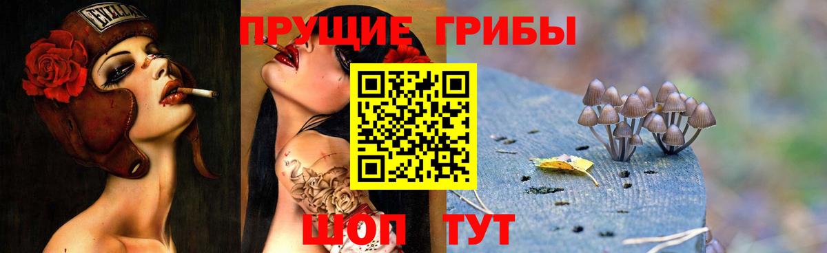Галлюциногенные грибы Psilocybe  Вход с VPN  Краснознаменск 